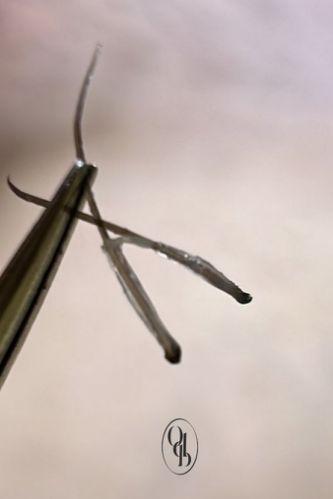 Épilation durable - institut de beauté à Grésy sur Aix